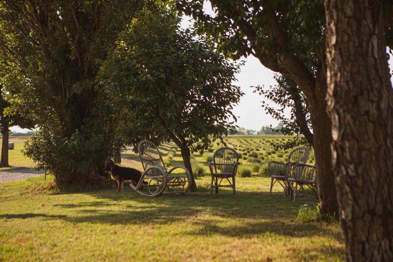Agriturismo Il Capitolo Carpaneto Piacentino Extérieur photo